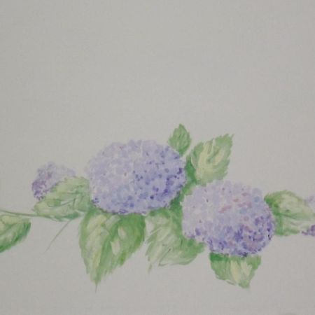 阿卡萨帝多拉住宿加早餐旅馆 特雷维索 客房 照片
